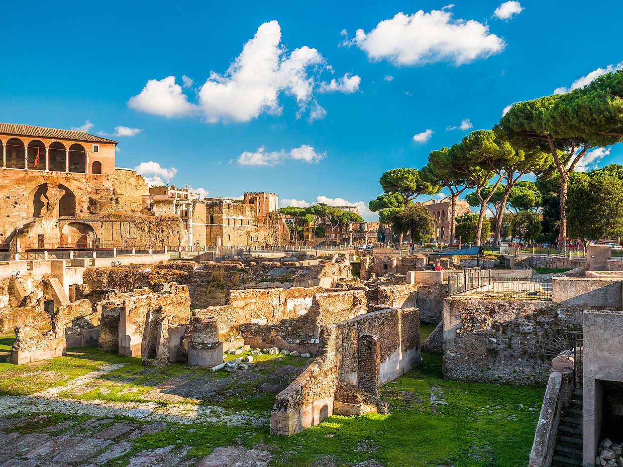 Colosseum and Roman Forum Private Tour in Italy, photo 3