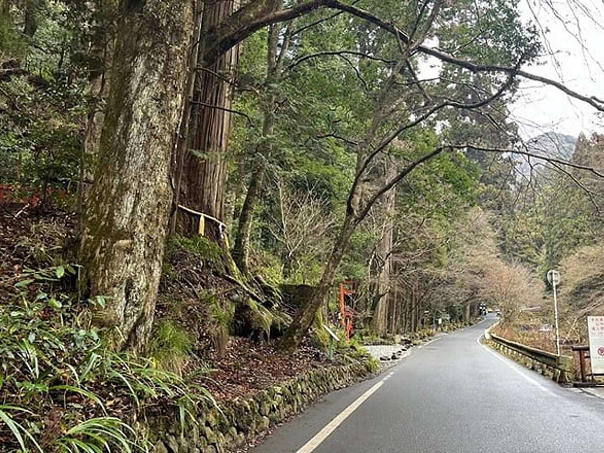 Half-Day Private Tour of Kifune Shrine, photo 4