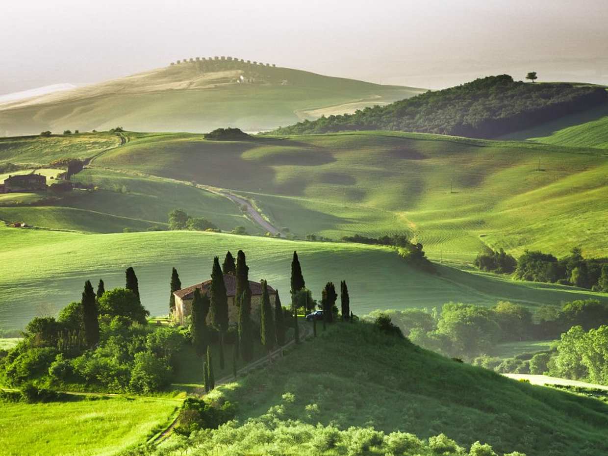 Private Full-day Wine Tasting Tour in Montepulciano from Rome, Italy, photo 2