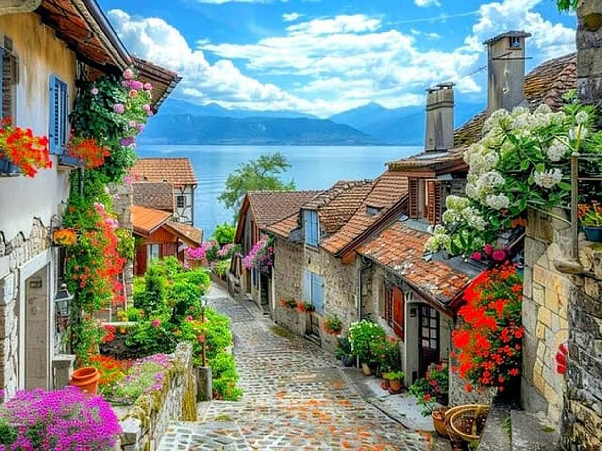 Private day trip from Geneva to Yvoire, English Speaking Driver in Switzerland, Genève