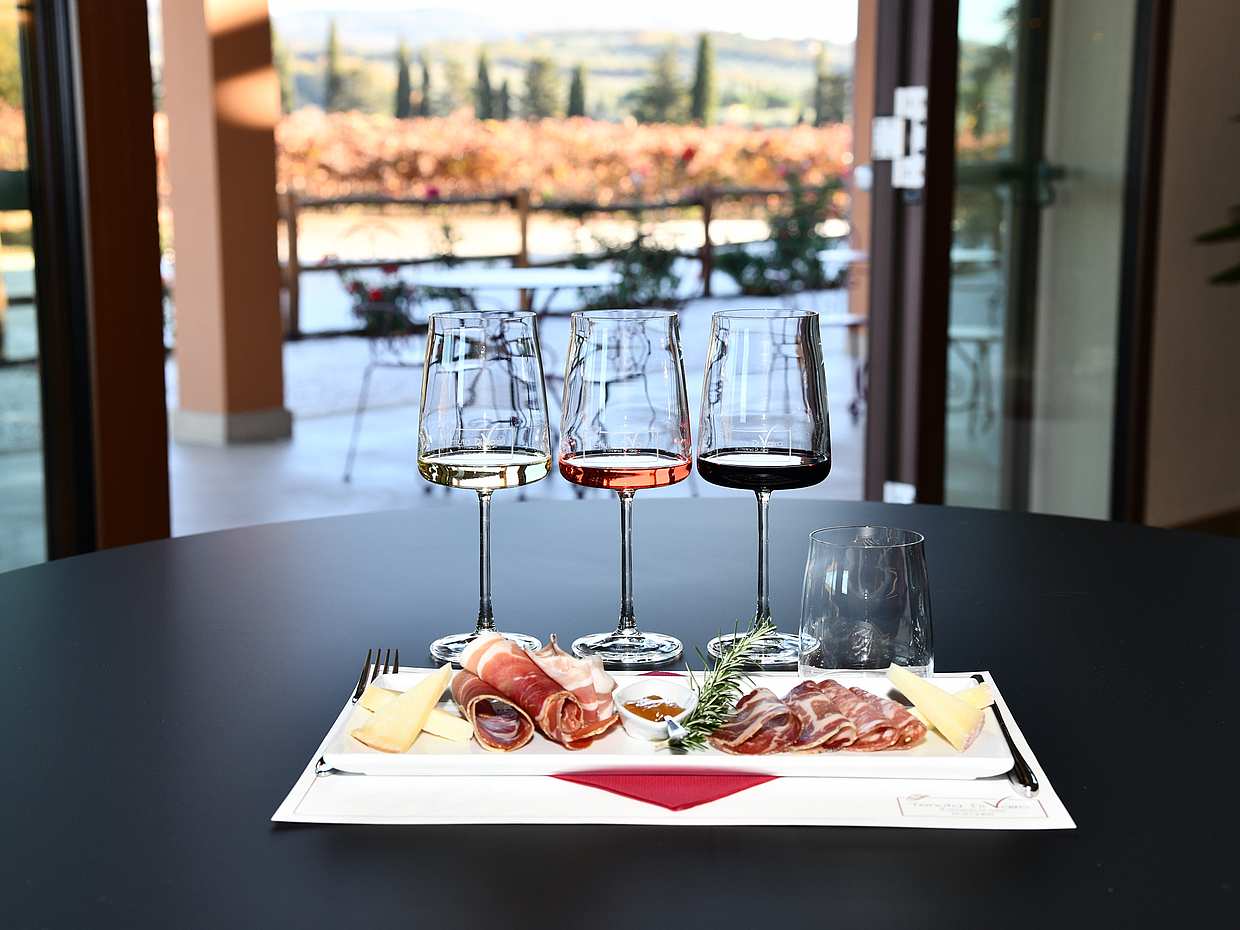 Exclusive Bolgheri from Florence: The Land of the Super Tuscan, Italy, photo 4