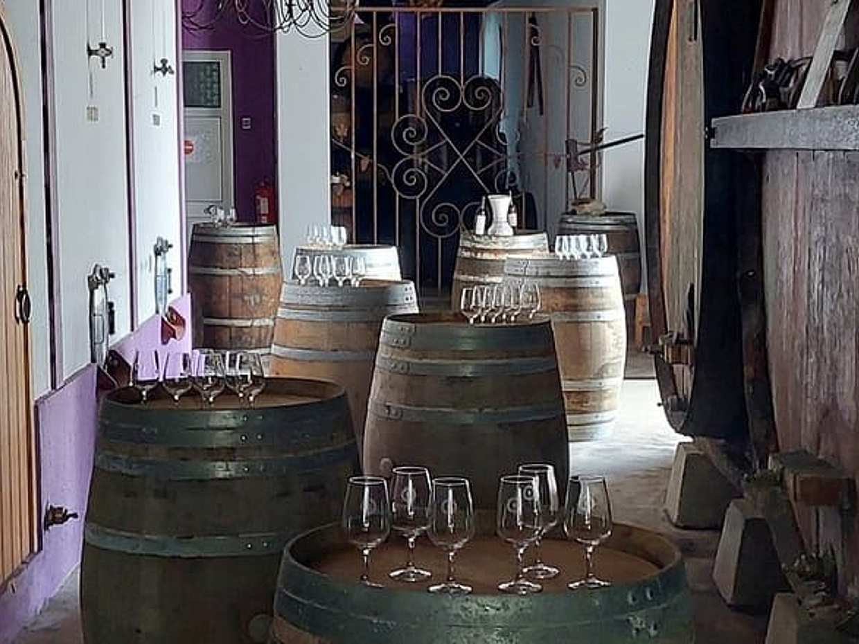 "Esperienza di vino, pane e formaggio in piccoli gruppi con pranzo in agriturismo in Portogallo, Lisbona", photo 3