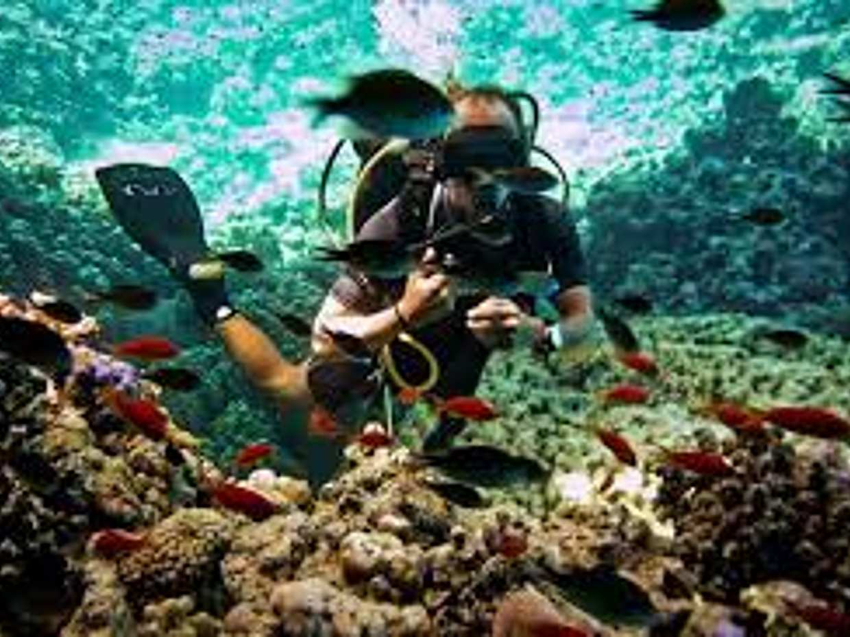 Tour en barco en Sharm-El-Shiekh con esnórquel en Egipto, Sharm El-Sheikh.
