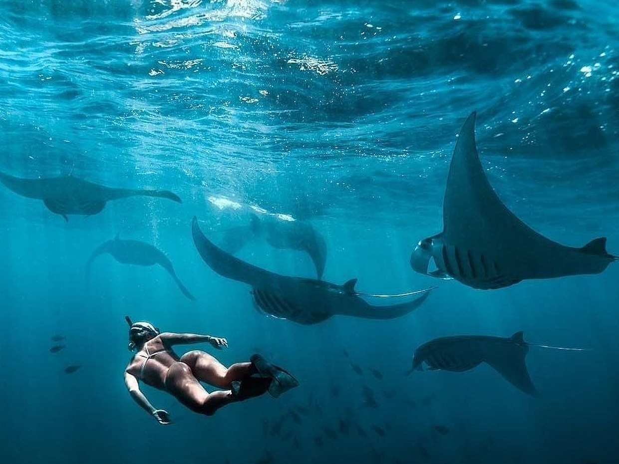 Full Day Tour to Nusa Penida and Snorkeling with Manta Rays, photo 2