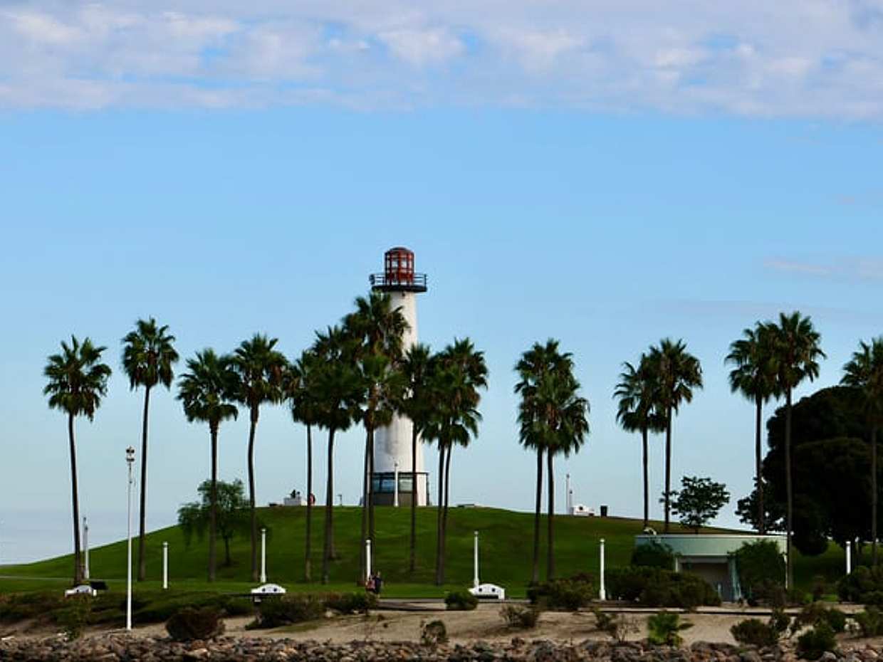 Long Beach: Black Ops, United States, photo 5