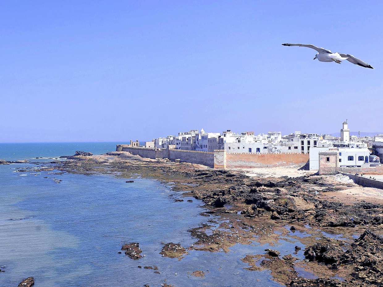 From Marrakech: Small Group to Essaouira & Sekkala Day Trip in Morocco, Marrakesh, photo 5