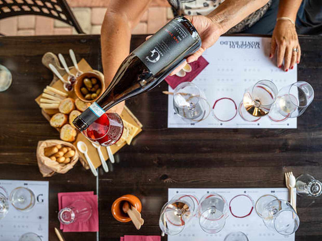 Taste 4 Wines with cellar tour in a Historic Countryside Winery, photo 3