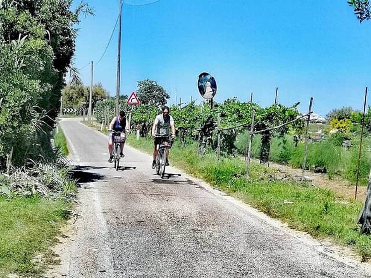 Venice Lagoon Bike & Birdwatching Tour: Flamingos in Lio Piccolo, photo 2