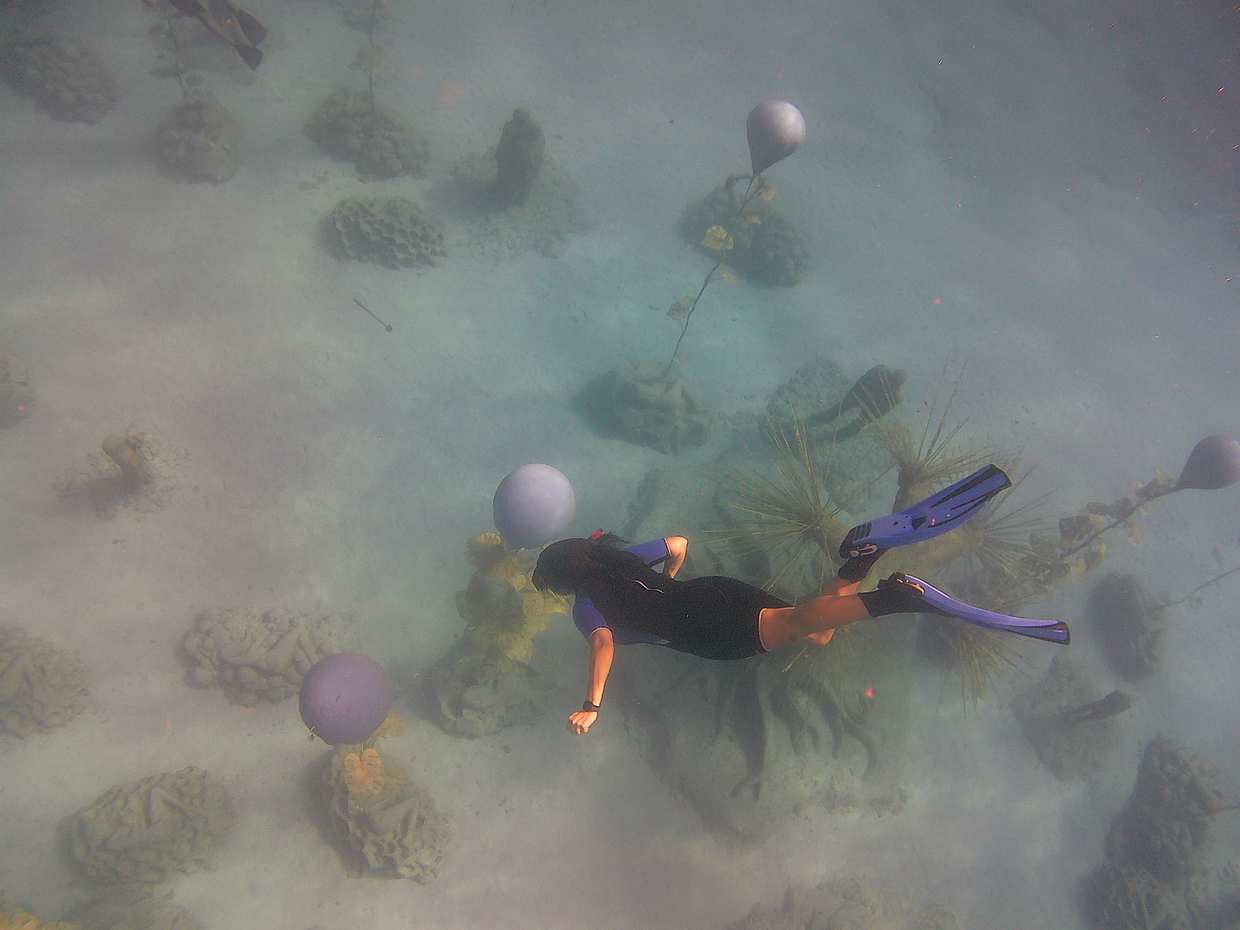 Snorkelling on MUSAN (underwater museum of Ayia Napa), photo 3