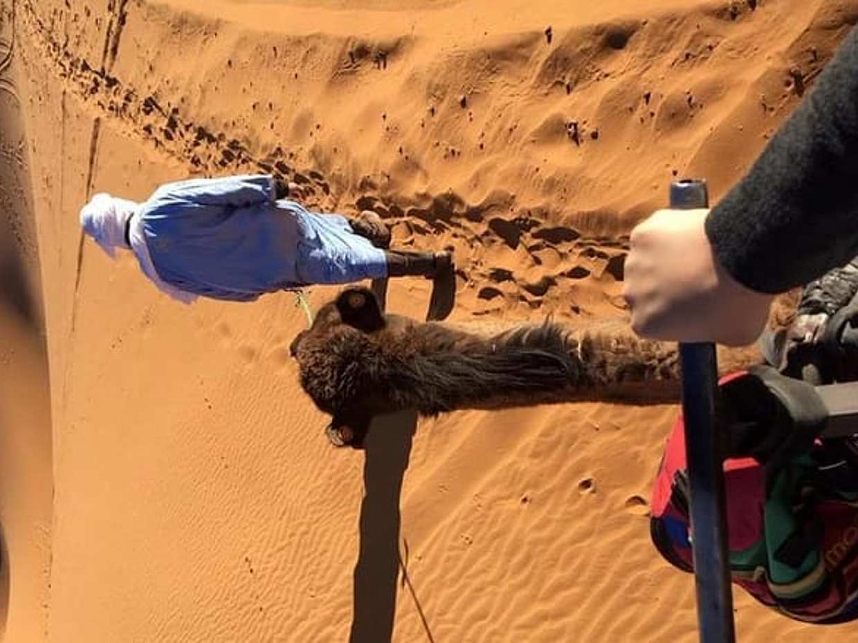 Sahara Desert 3 days trip from Marrakech to Fez in Morocco, Marrakesh, photo 4