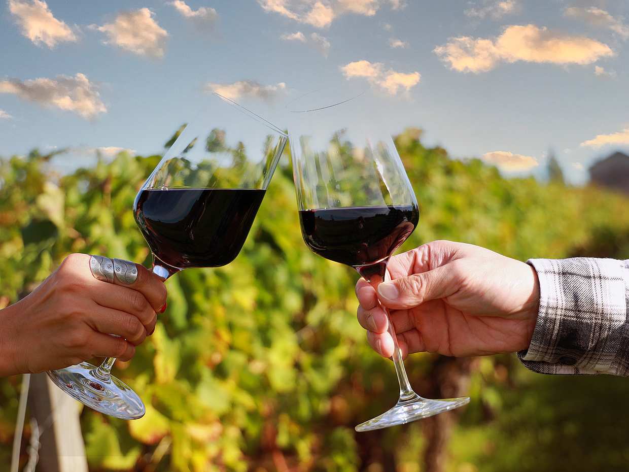 Pour les couples : Circuit privé parfait d'une demi-journée avec Cape Winelands, Stellenbosch au Cap, Afrique du Sud