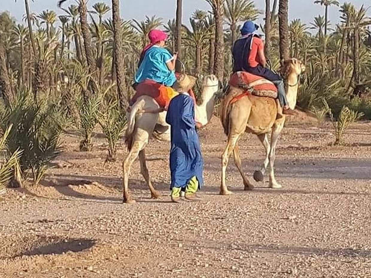 Marrakech Desert Camel Ride, photo 2