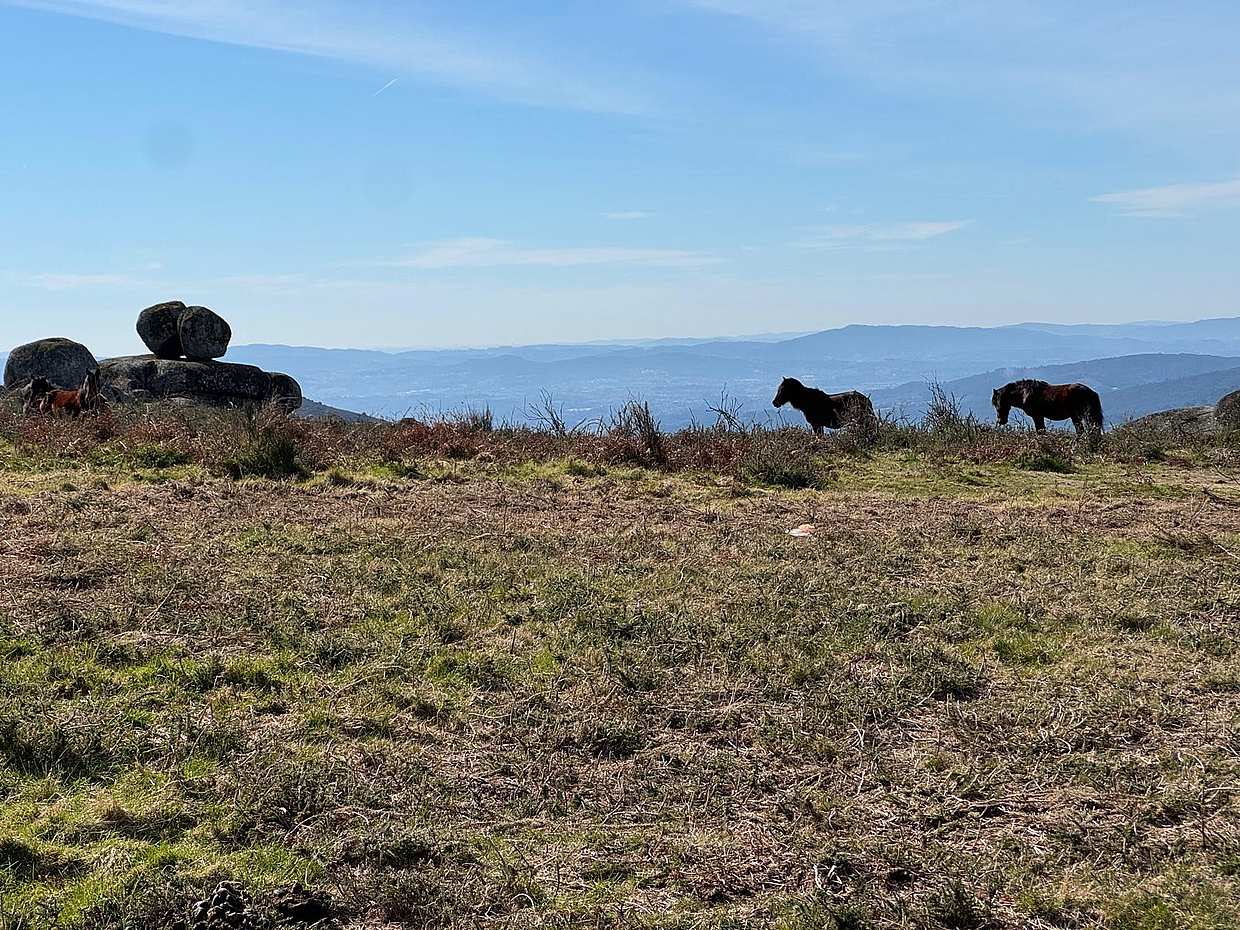 Hiking in Minho Region in Portugal, Braga, photo 3