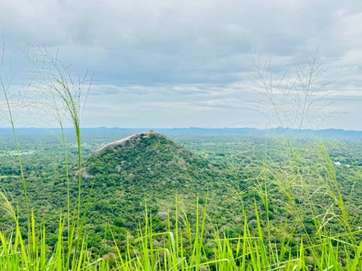 One Day Tour to Sigiriya and Dambulla from Colombo in Sri Lanka, photo 5