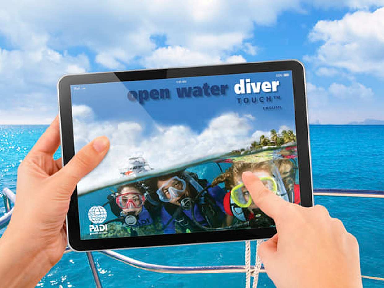 "Curso PADI Open Water en Portugal, Funchal"