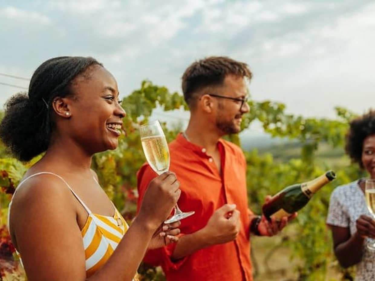 Private Champagne Day Trip - Two Vineyards of Reims & Lunch in France, Paris