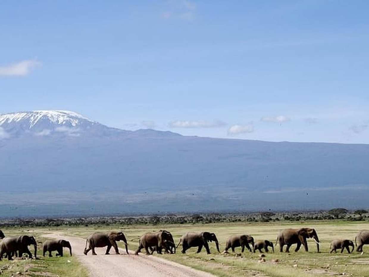 6 Days Amboseli, Lake Naivasha & Masai Mara Safari on 4x4 Jeep