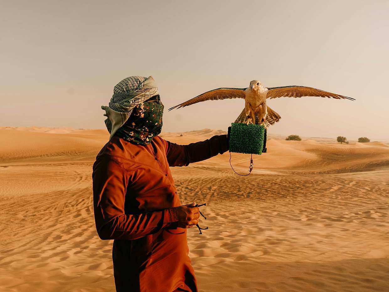 Dubai Evening Desert Safari with BBQ Dinner and Dune Bashing in United Arab Emirates, photo 5