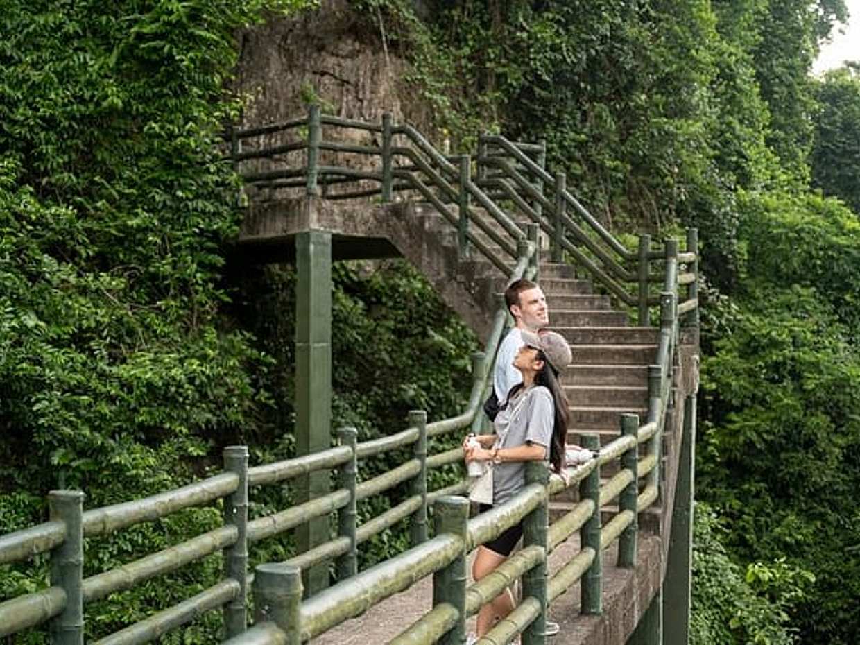 Luxury Halong Bay Leona Cruise from Halong Port Shore Excursion, photo 5