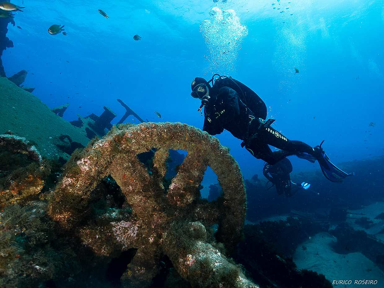 Azores: Buceo en la Isla de São Miguel en Portugal
