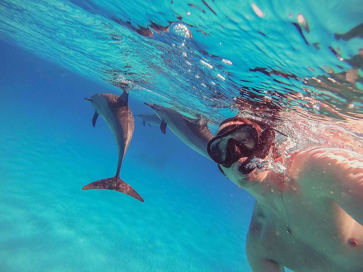 Nuoto con i delfini e tour di snorkeling da Marsa Alam, photo 2