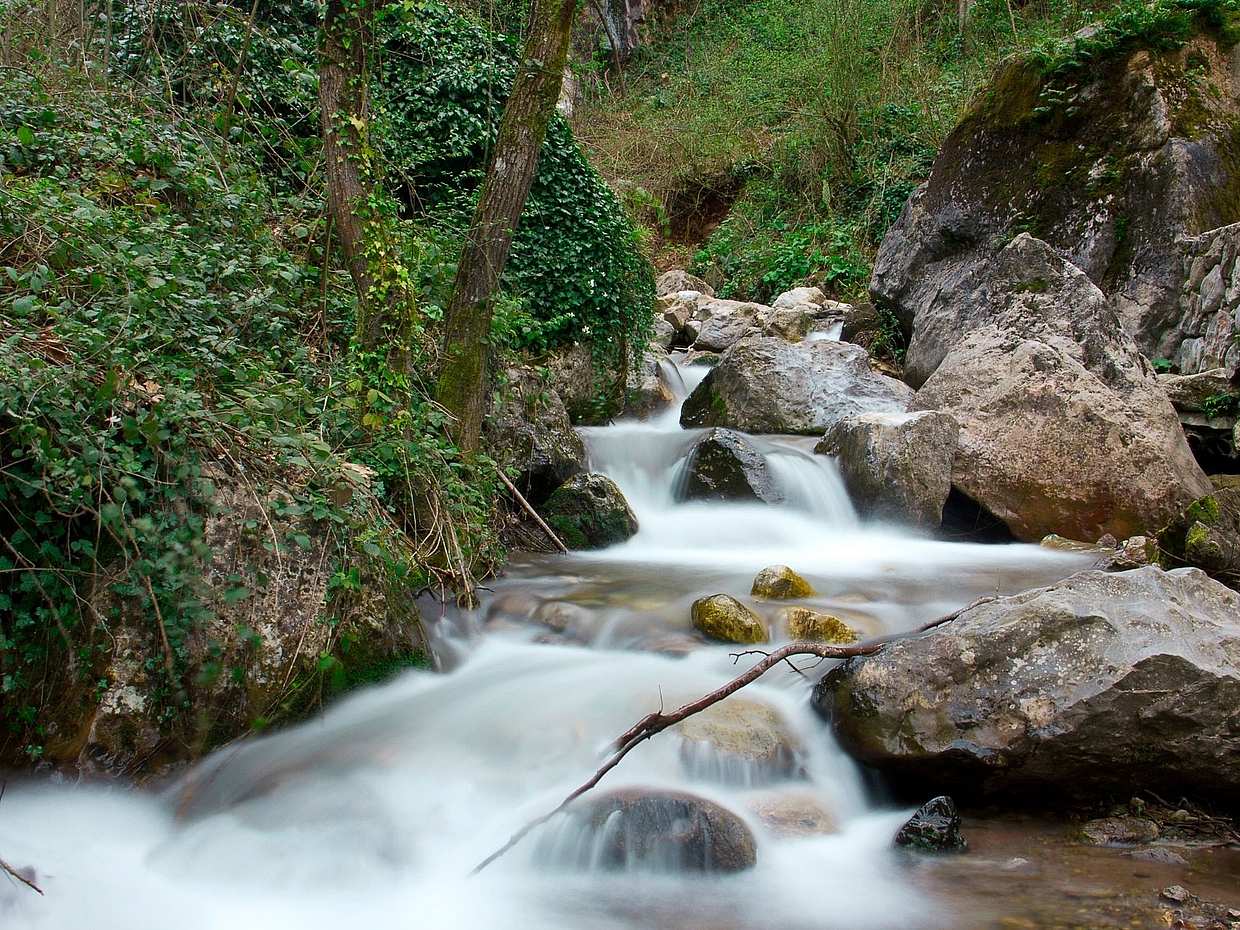 Sapanca Lake and Masukiye Full-day Tour from Istanbul in Turkey, photo 2