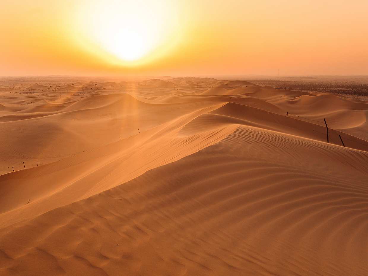 Morning Desert Safari from Abu Dhabi, United Arab Emirates, photo 2