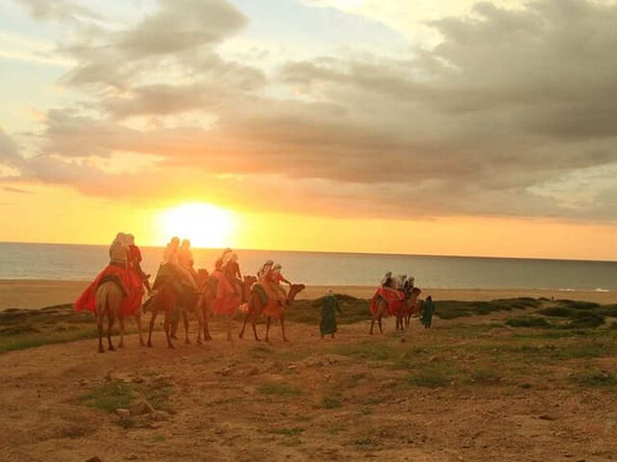 Los Cabos Sunset Camel Ride & ATV Adventure, photo 4