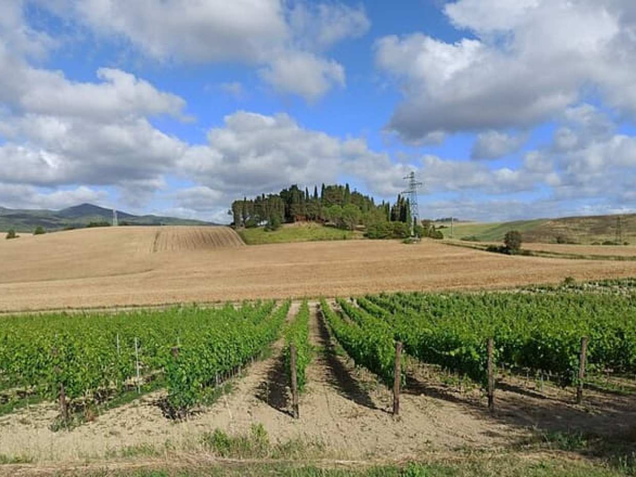 PRIVATE TOUR "Ramble through the Rolling Hills Of Chianti"+ lunch & wine tasting