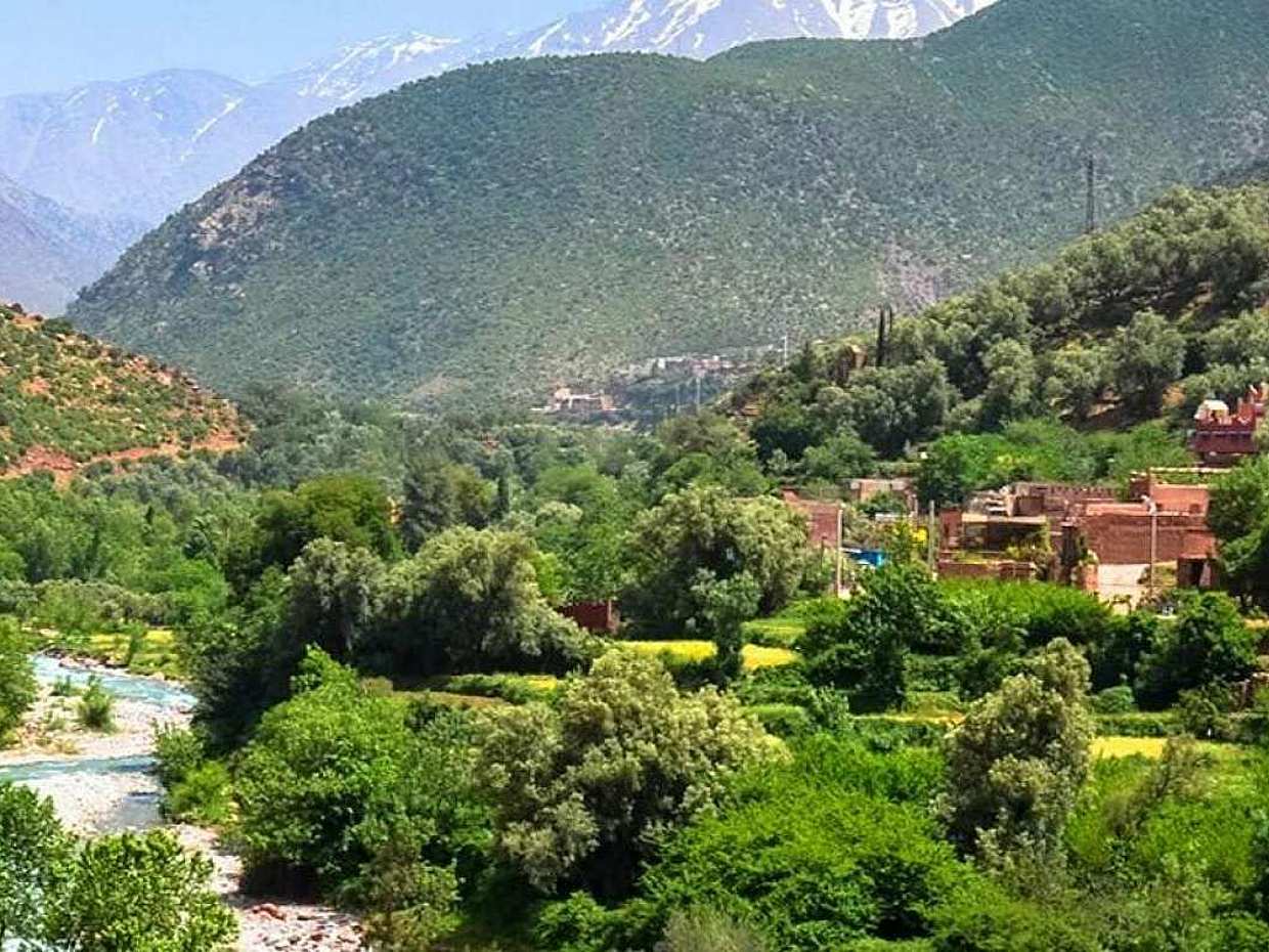 Atlas Mountains day trip in Morocco, photo 3