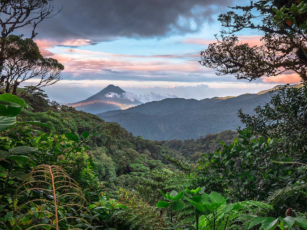 Visite de la forêt de nuages de Monteverde au Costa Rica