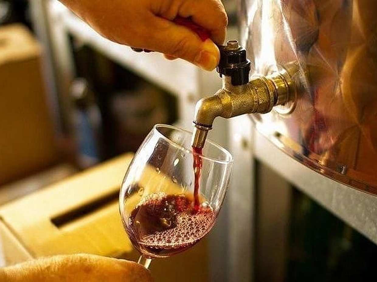 Special Chianti Afternoon Wine Tour from Florence