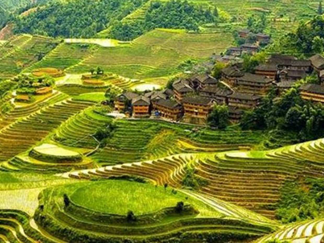 Bali North Coast Full-day Tour, Indonesia, photo 5