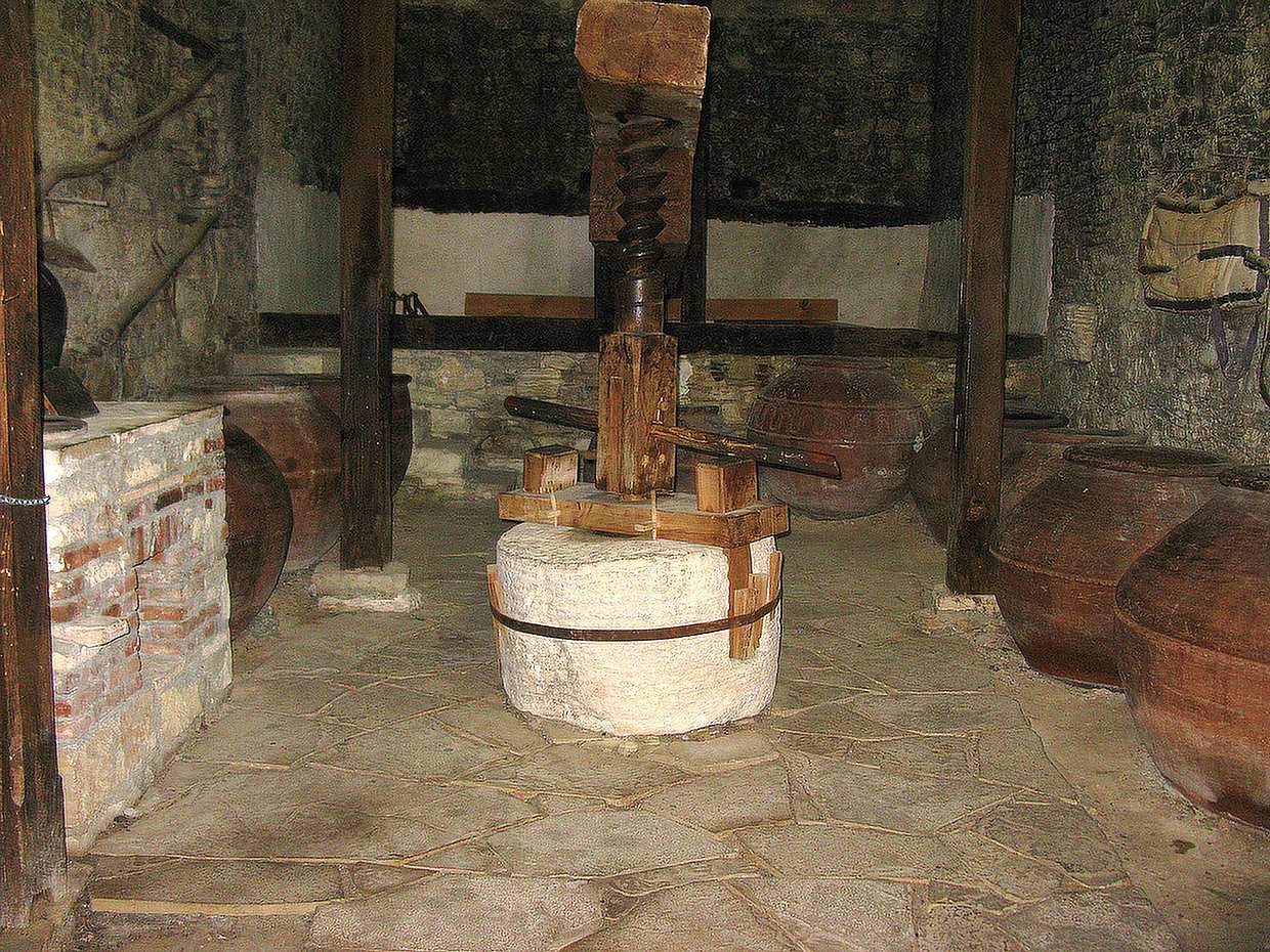 Wine Tour – Vineyards, Tastings & Scenic Views from Paphos in Cyprus, Paphos Local Wineries Tour & Wine Tasting, photo 3
