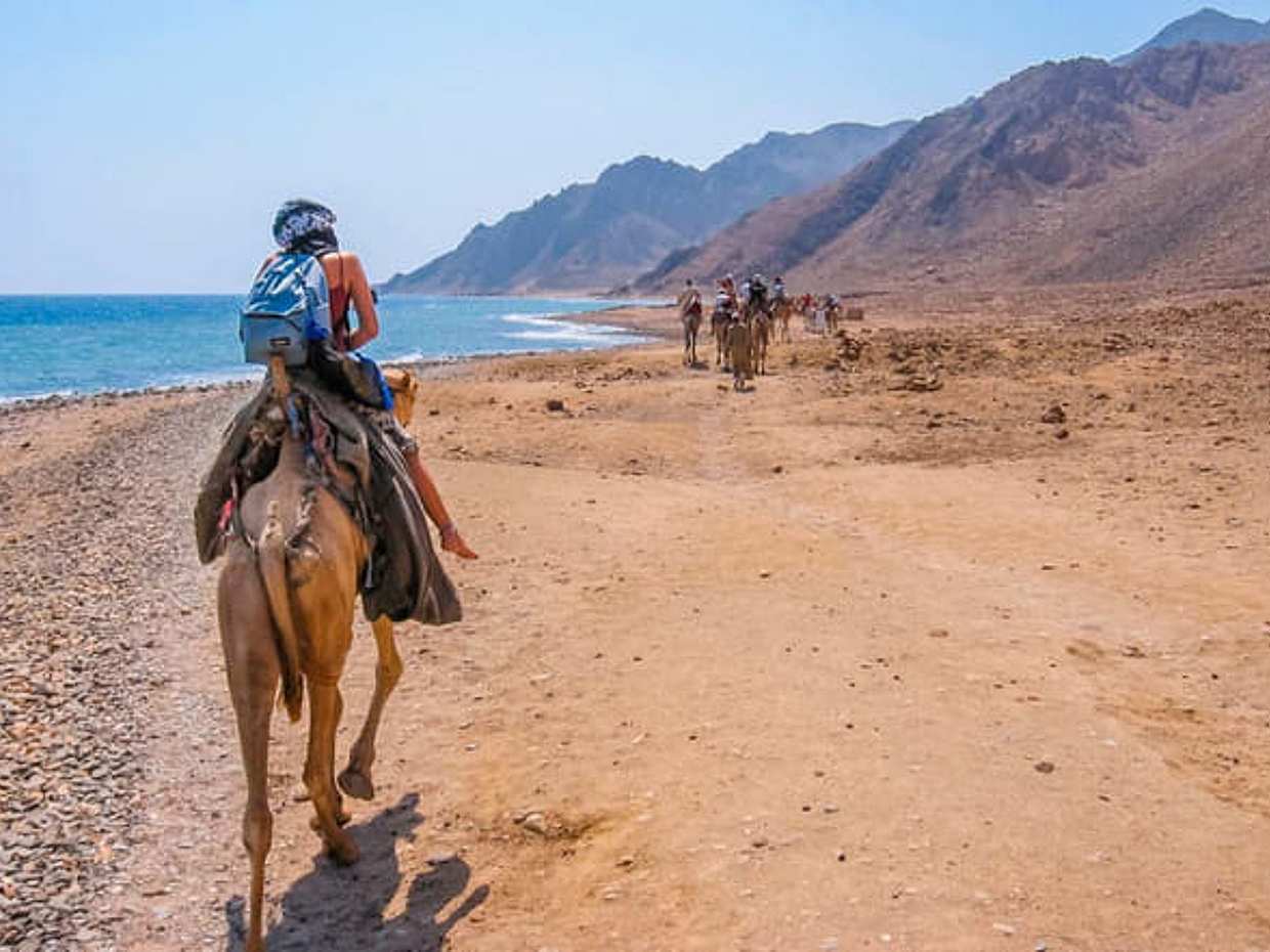 Snorkeling and Camel Ride with Lunch in Dahab from Sharm El Sheikh, photo 4