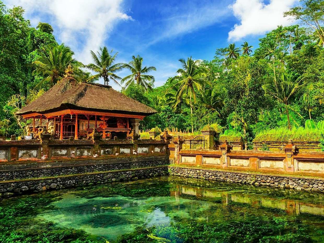 Customizable Private Experience in Bali