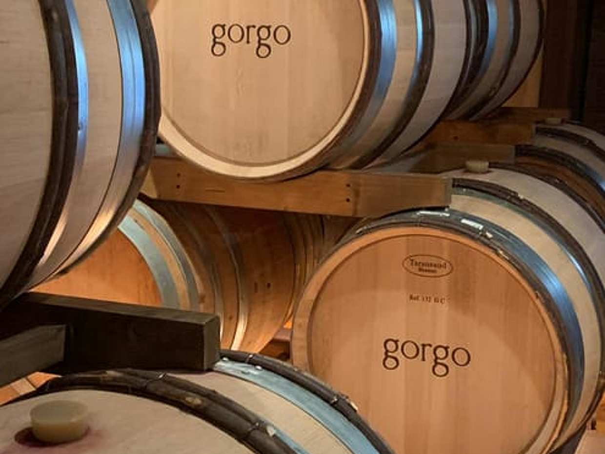 Tour and tasting of 3 organic wines near Custoza, photo 3