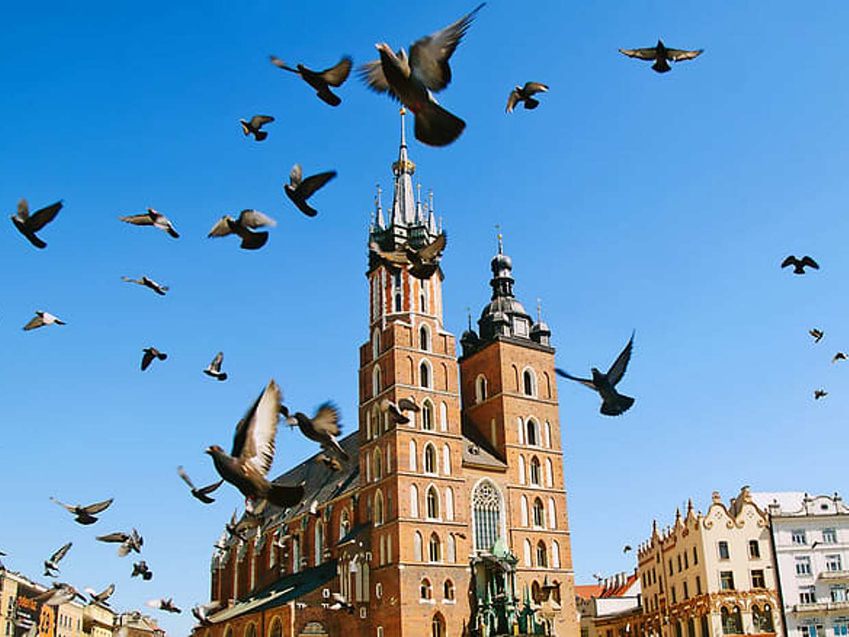 Krakow Cultural Capital of Poland - PRIVATE tour from Warsaw by train (12h)
