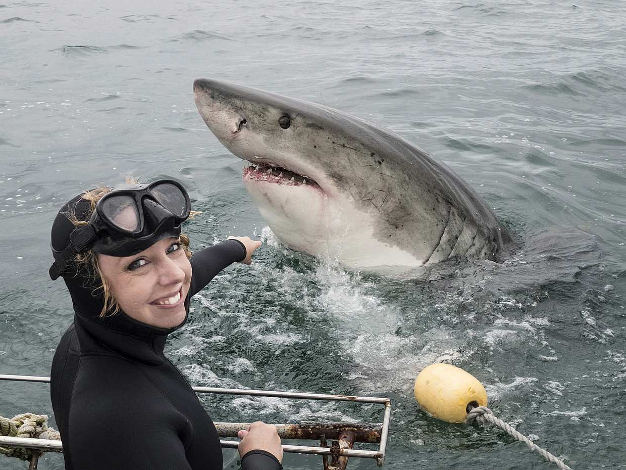 Buceo en jaulas de tiburones desde Ciudad del Cabo, photo 2