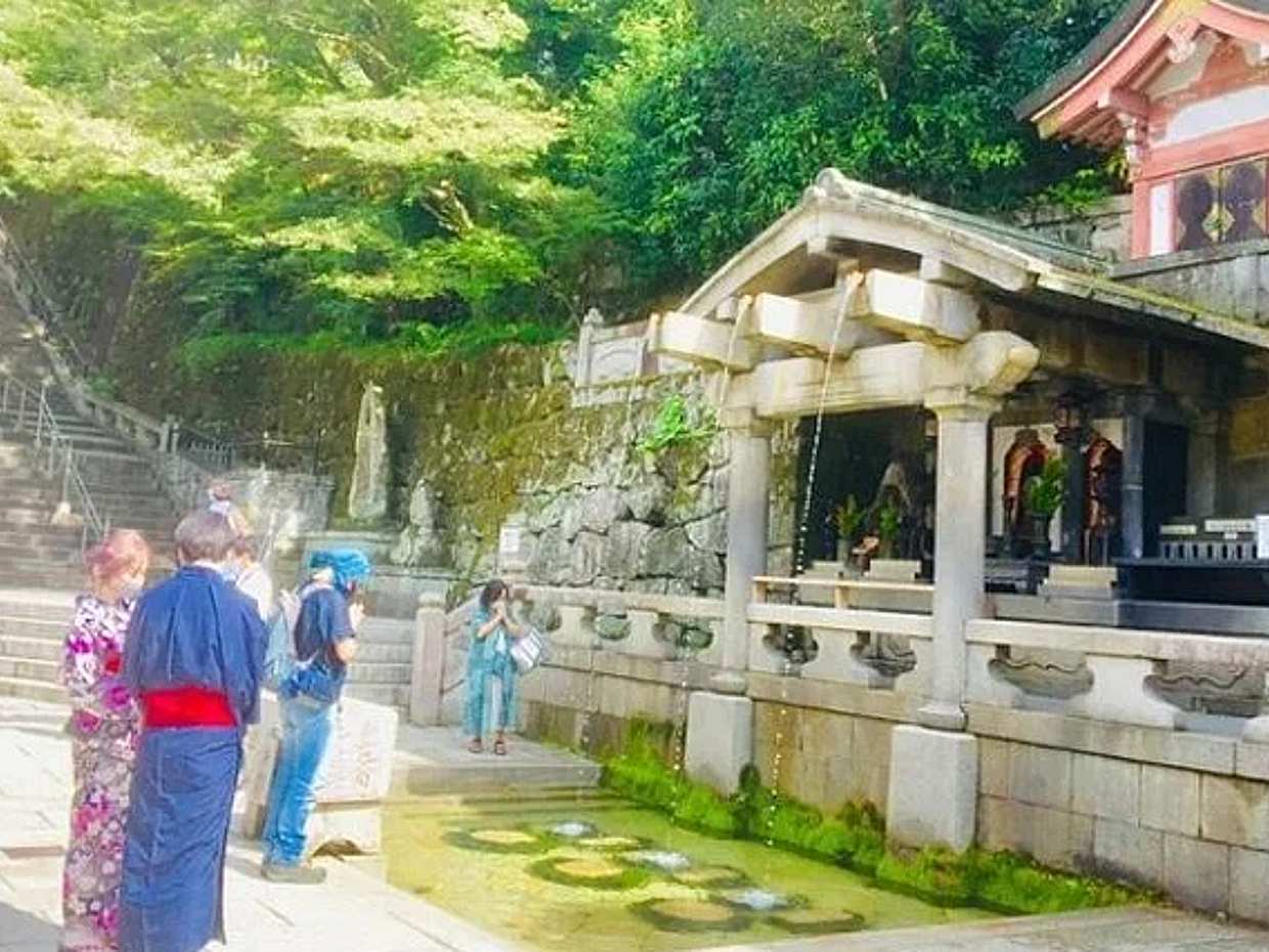 Full-day Private Guided Walking Tour to Kyoto Old Town and Temples, Japan, photo 5