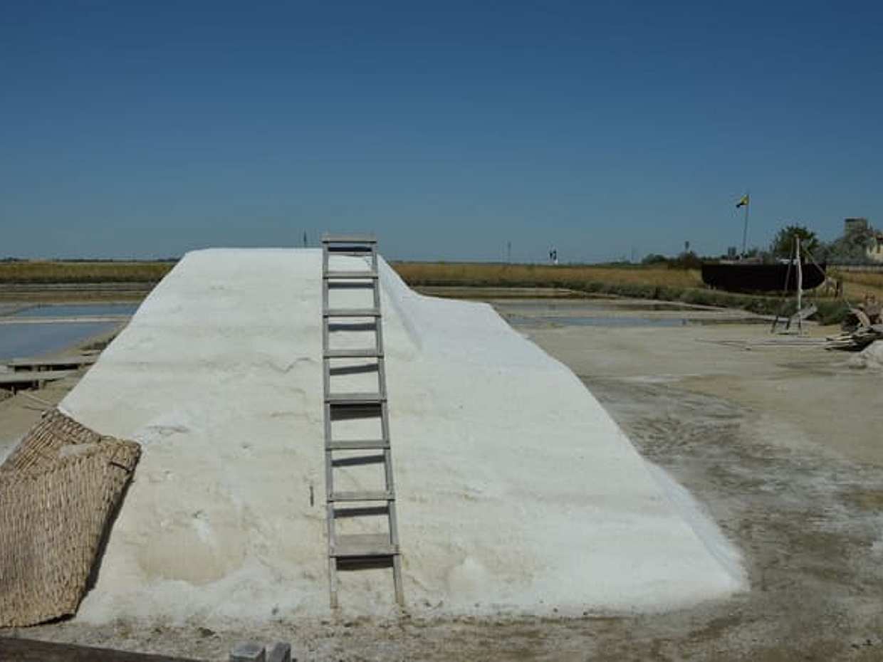 Cervia: unveiling the ancient Salt Pans