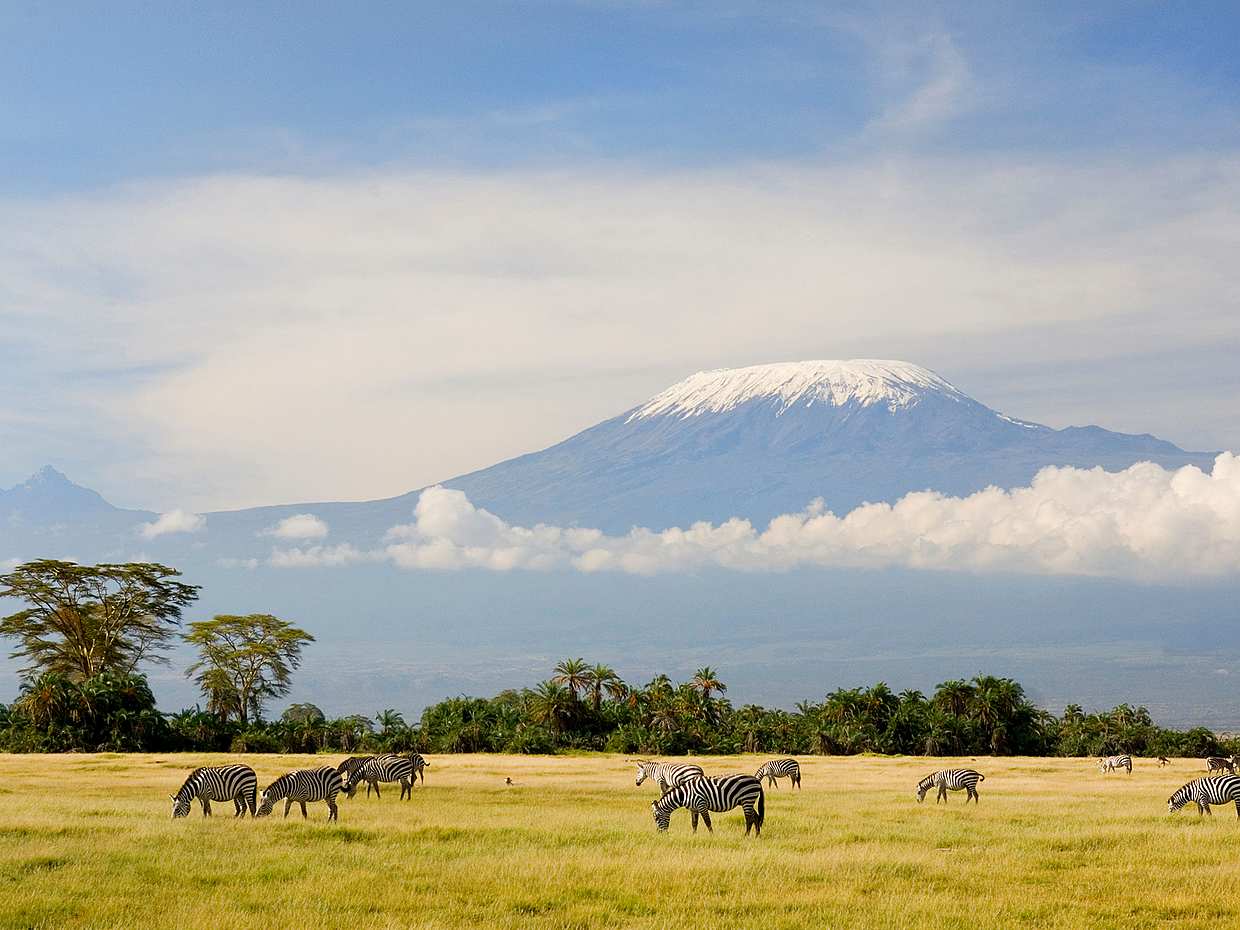 Meru Experience Day Trip  from Arusha in Tanzania, photo 2