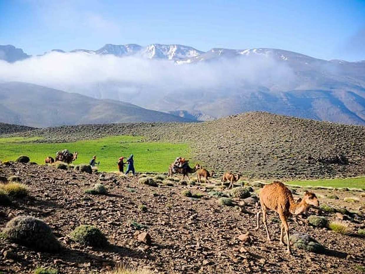 2-Day Trip to Ouarzazate, photo 4