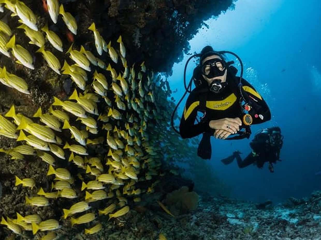 "Aventure de plongée sous-marine à Dubaï aux Émirats Arabes Unis"