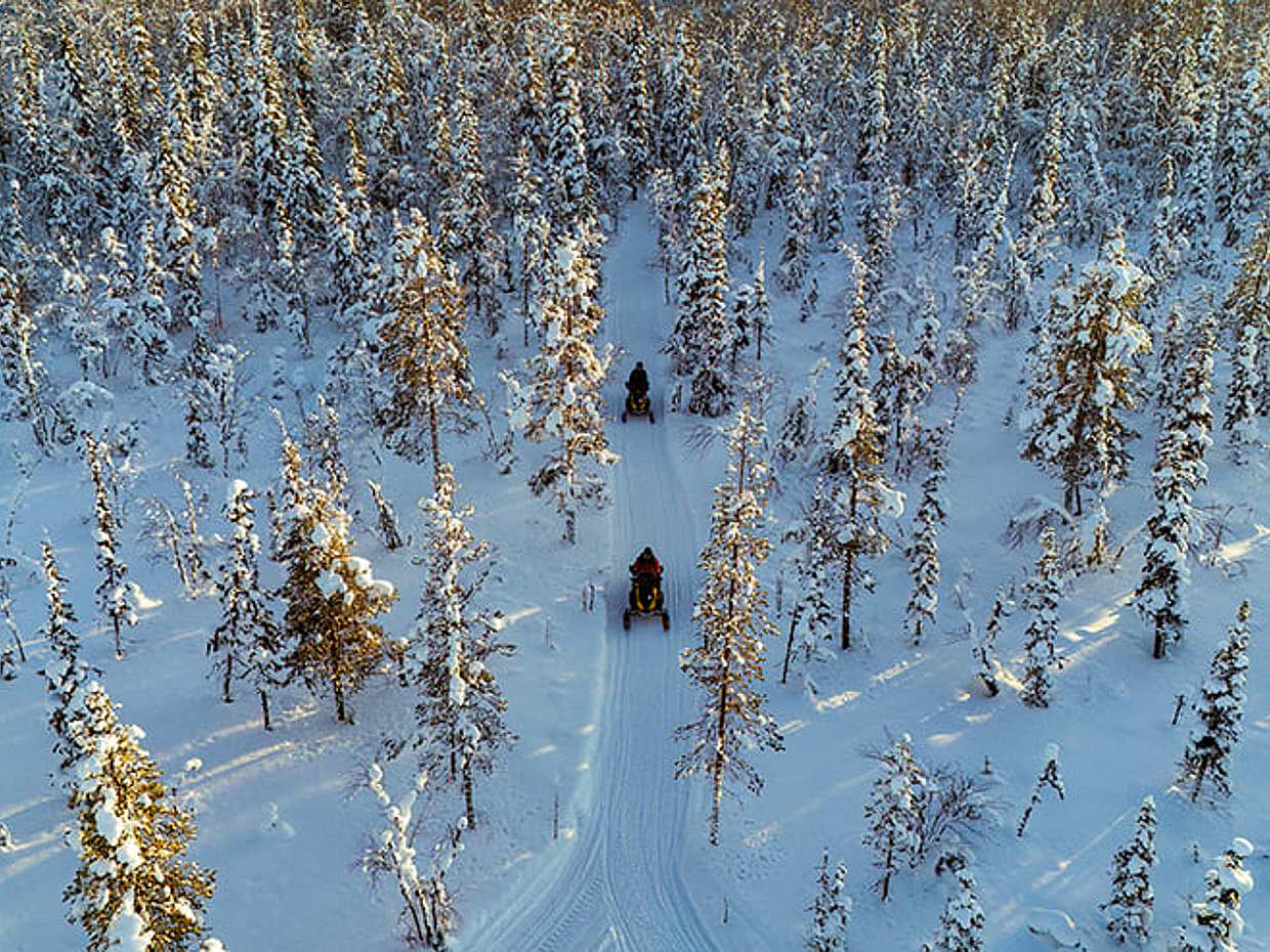 Daytime Snowmobile Safari with Wilderness Hut Lunch, Levi — adults only, photo 3