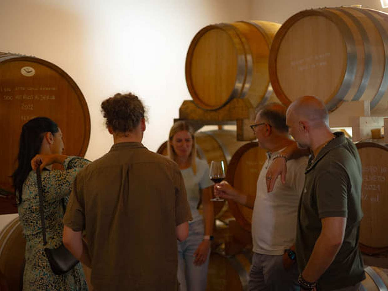 From Padua, Wine tour on the Euganean Hills, photo 5