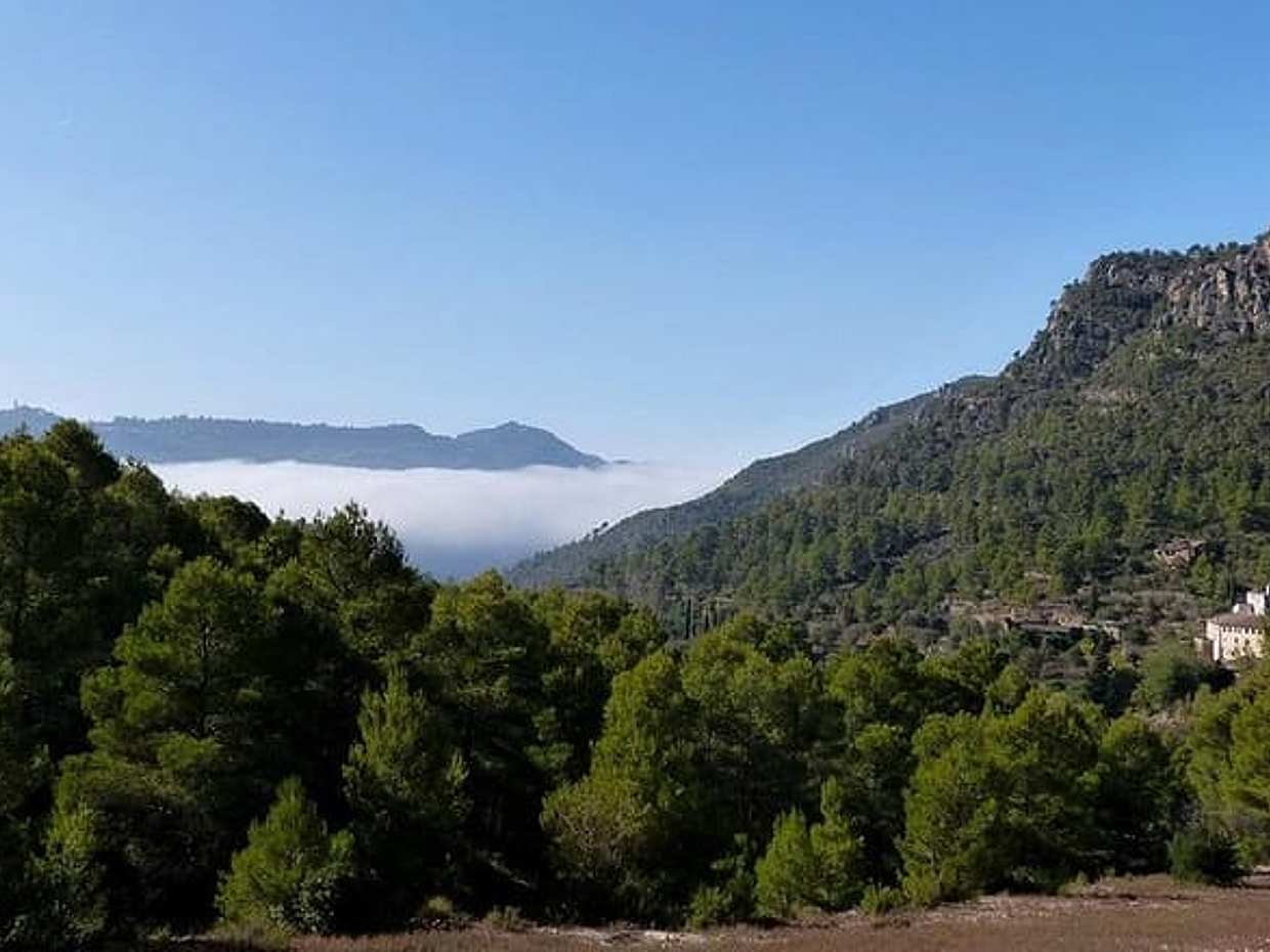 Private Tour Poblet & Priorat Monastery - Hotel pick up from Salou/Tarragona, photo 5