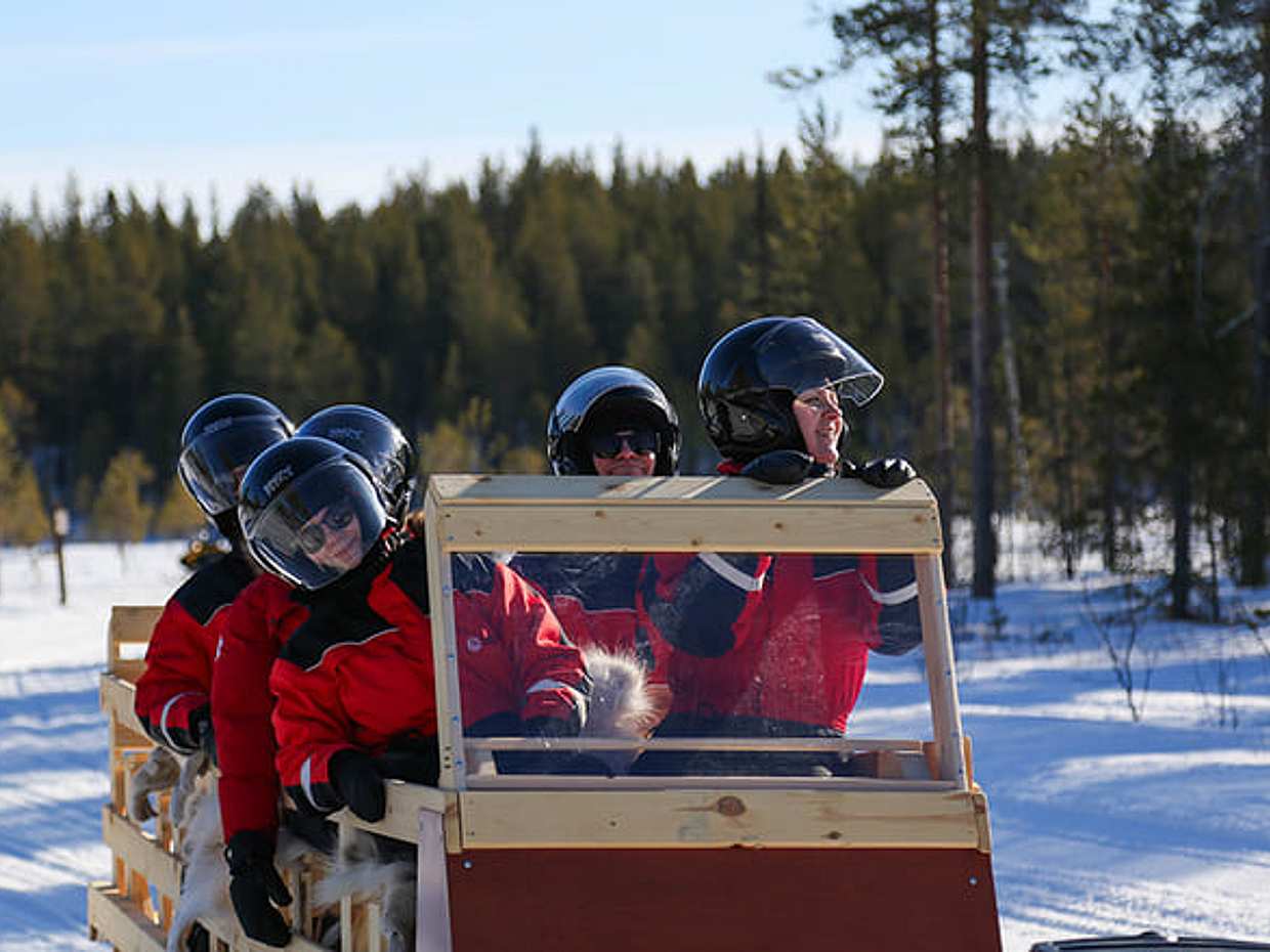 Reindeer Herder’s Day in the Wilderness with a Snowmobile sled, Levi, photo 3