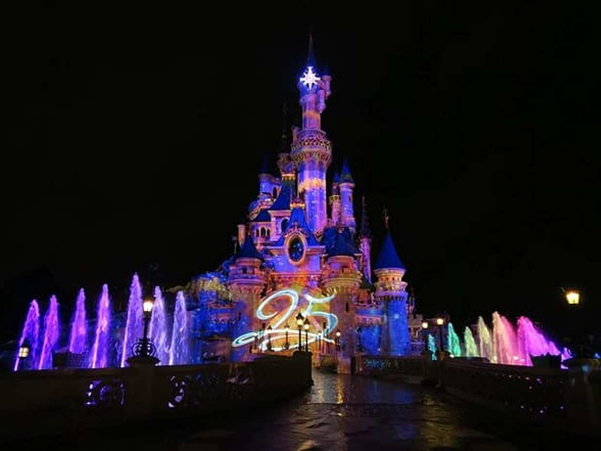 Private Disneyland Trip with Valle Village and Indian Dinner