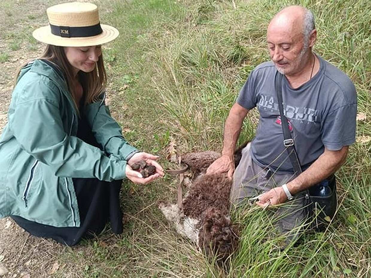 Truffle Hunting with Lunch and Chianti Tasting from Pisa, photo 5